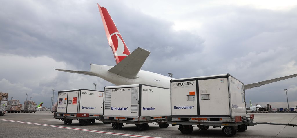 Turkey Cargo. Поросята из Дании Air Bridge Cargo. Cargo carrying Robt.